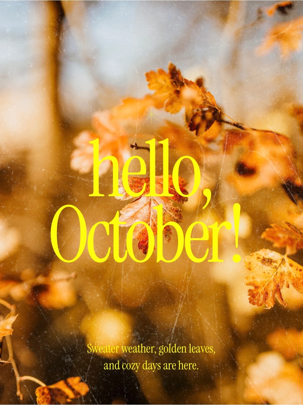 🍂🍂 OCTOBER 1 - LIVE SHOW 🍂🍂